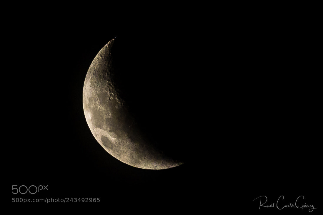 Nikon D7100 sample photo. Moon photography