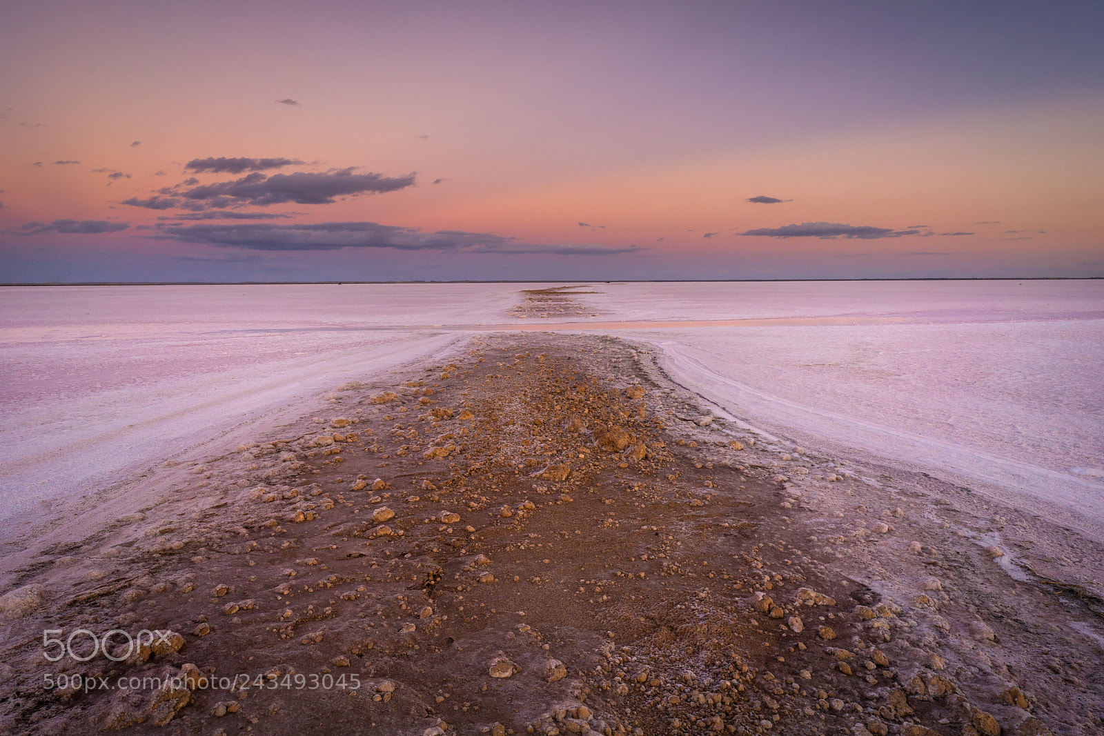 Sony a7R II sample photo. The pink lake lake photography