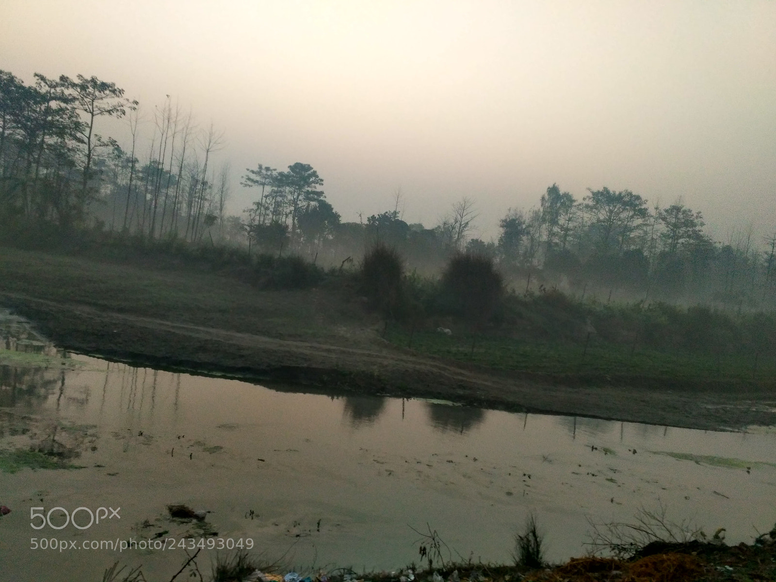 Xiaomi Redmi 3S sample photo. On sideways photography