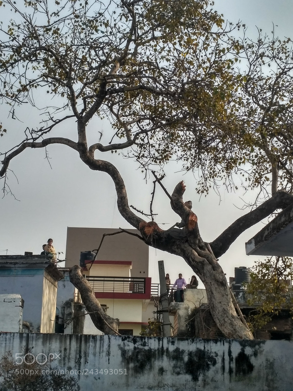 Xiaomi Redmi 3S sample photo. Man vs nature photography