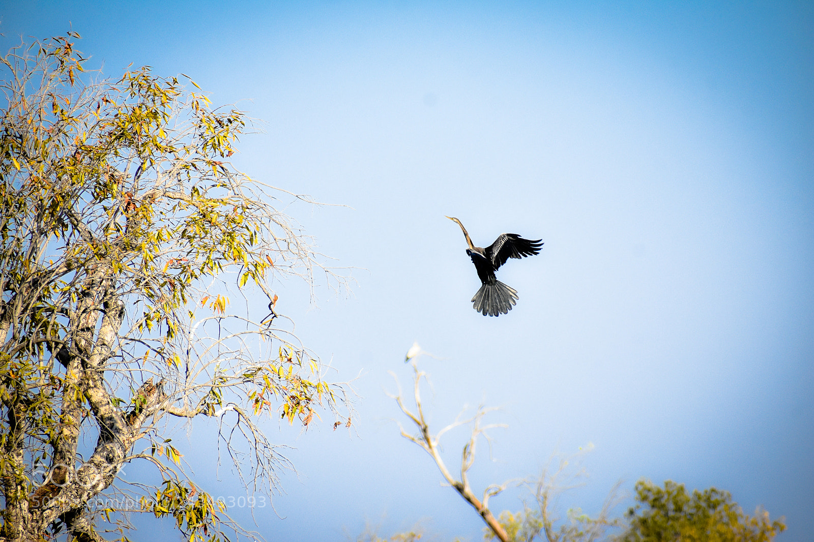 Nikon D3400 sample photo. Let's fly.!! photography