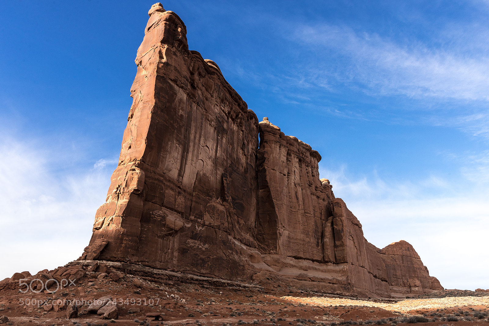 Canon EOS-1D X Mark II sample photo. Touch the sky photography