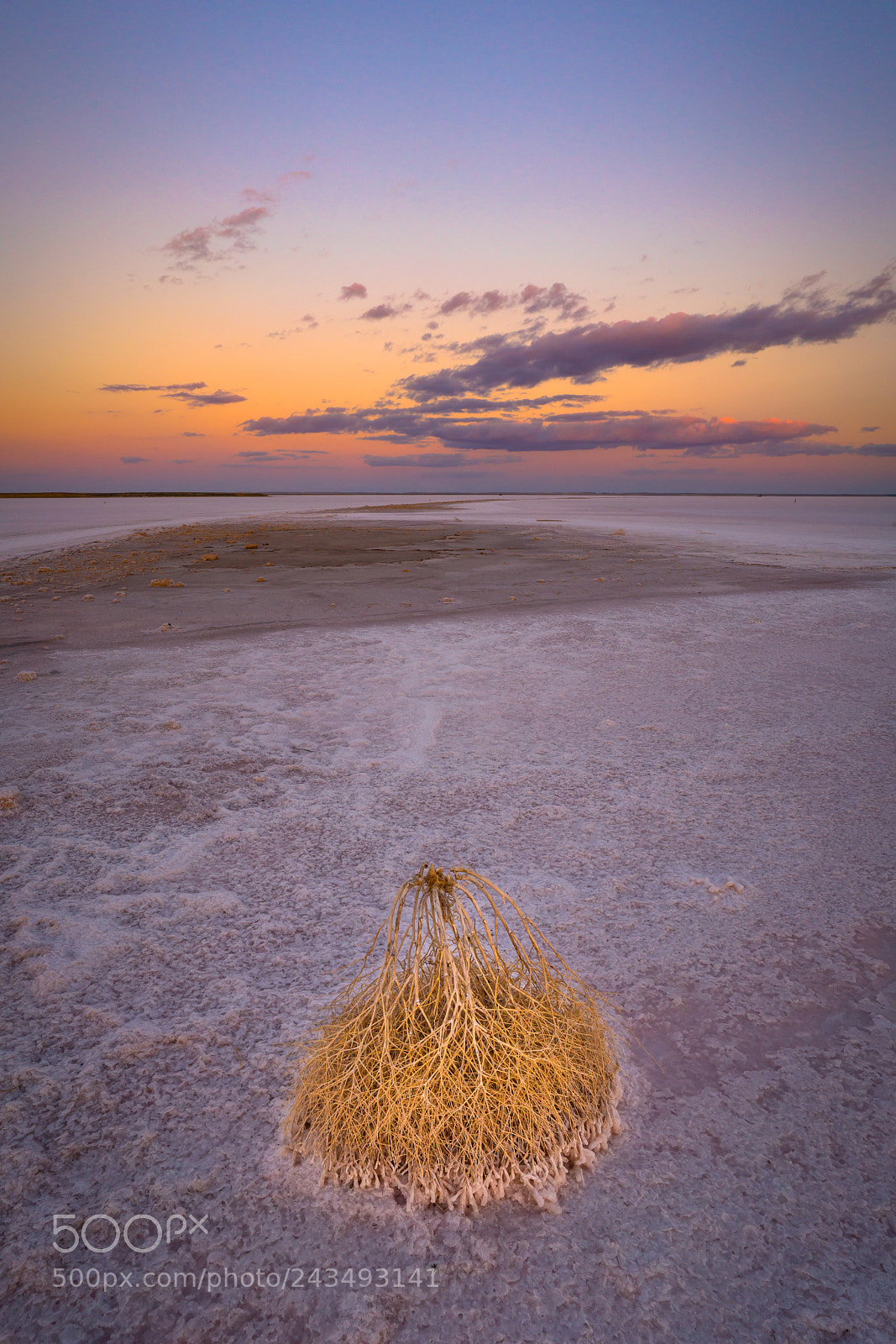 Sony a7R II sample photo. The pink lake photography