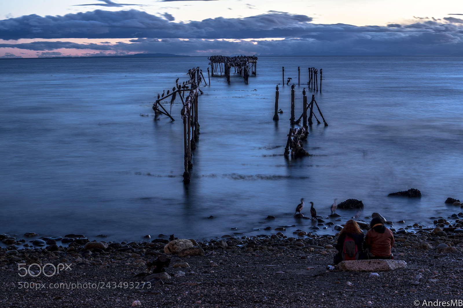 Sony a7 sample photo. Muelle de pajaros photography