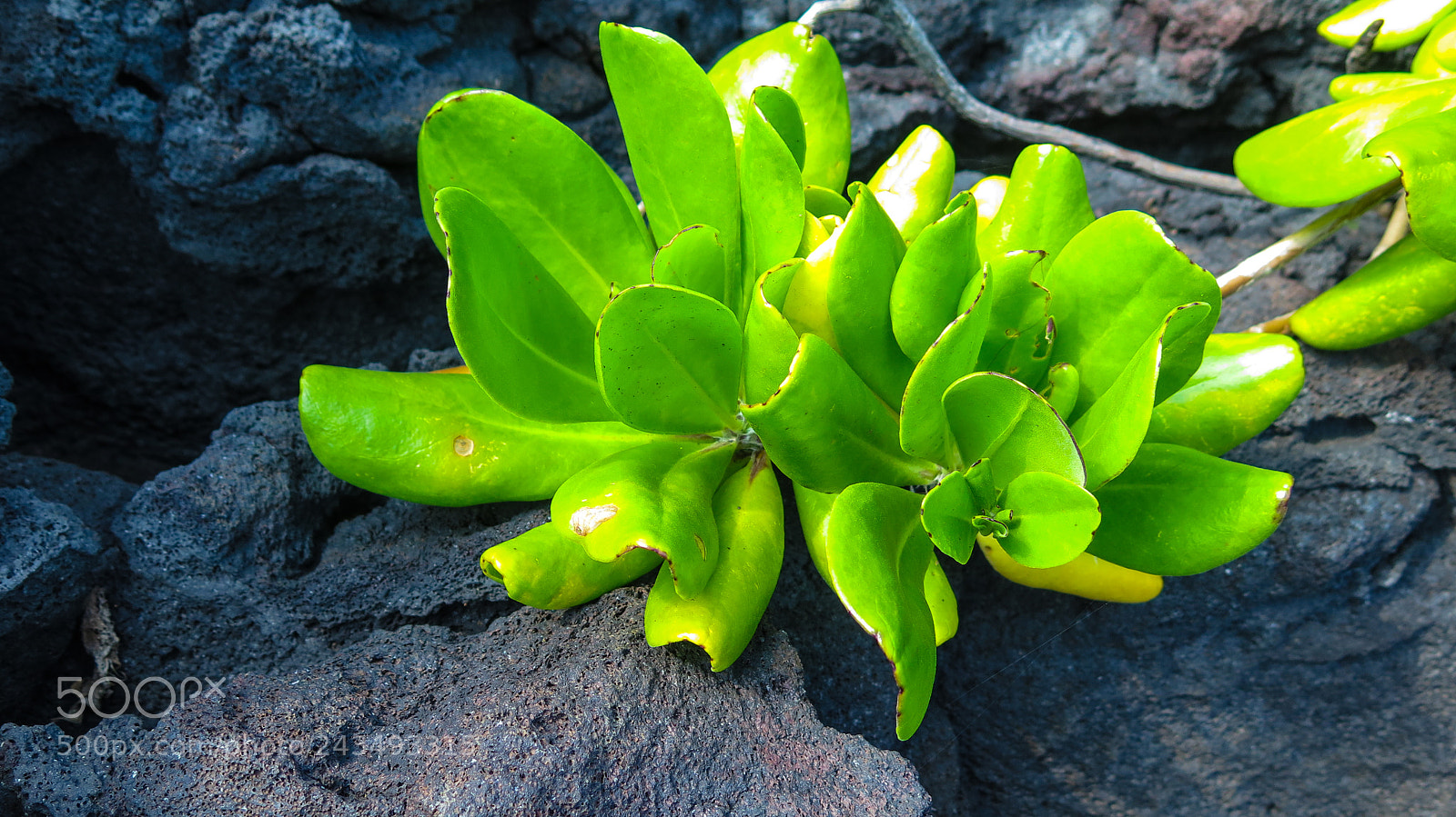 Canon PowerShot G16 sample photo. Punalu'u black sand beach photography
