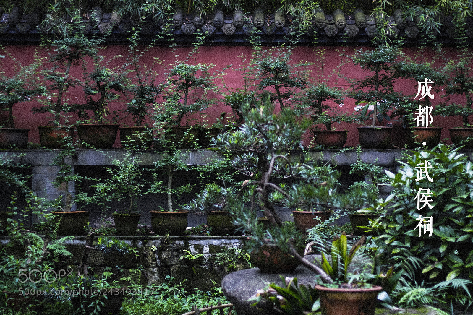 Canon EOS 60D sample photo. Secret garden photography