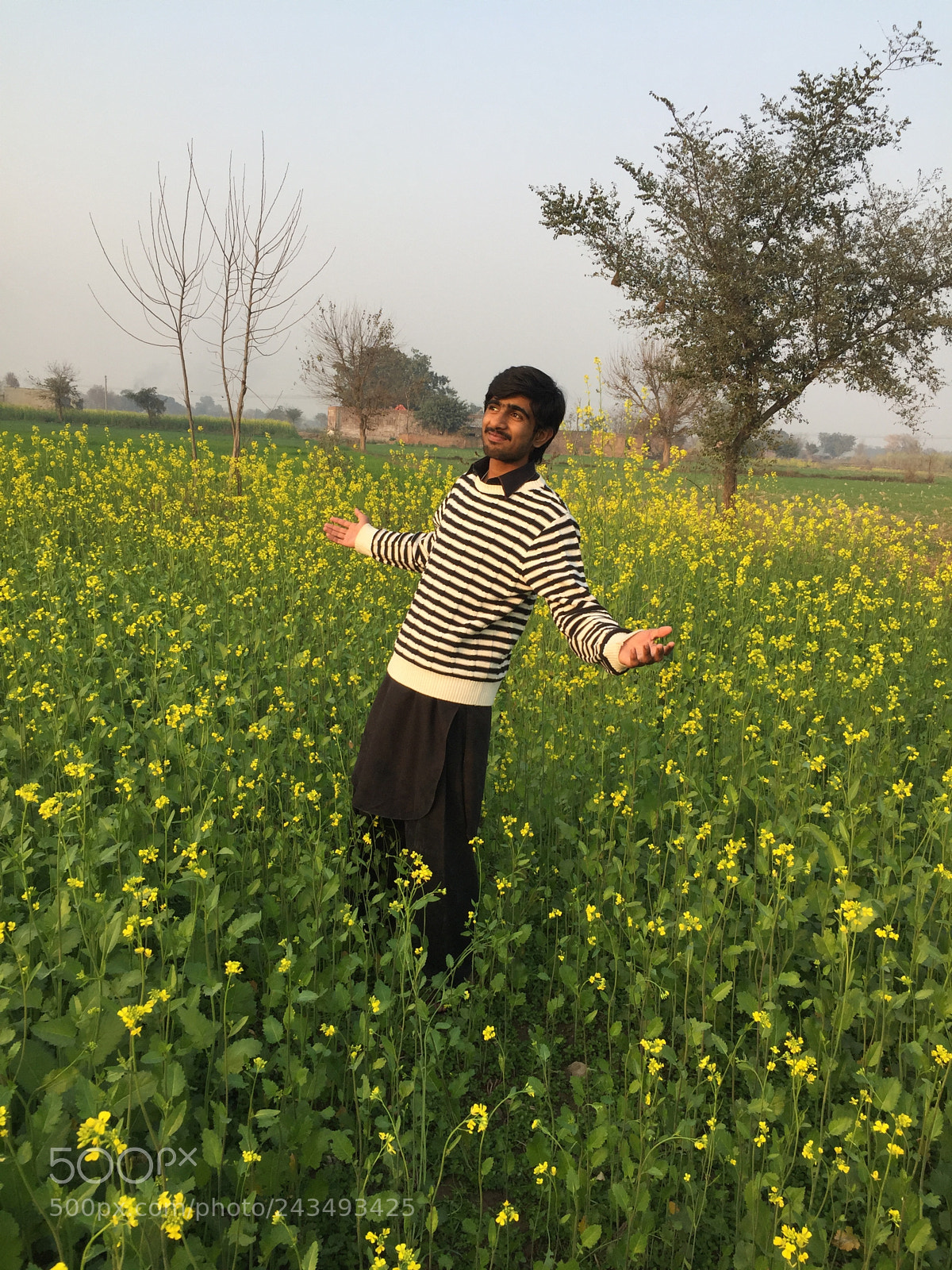 Apple iPhone 6 sample photo. Ddlj photography