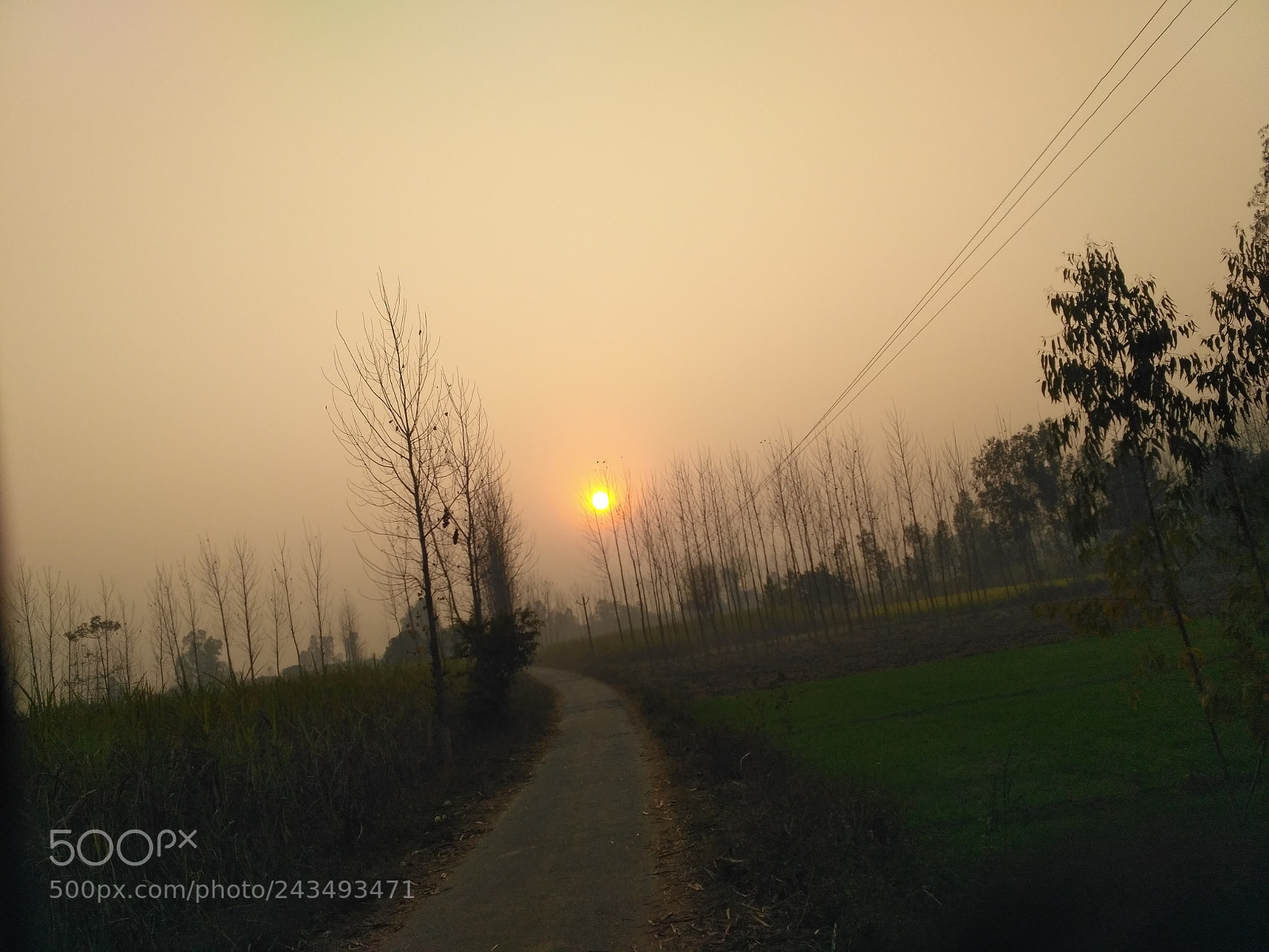 Xiaomi Redmi 3S sample photo. Harmony ... in sync photography