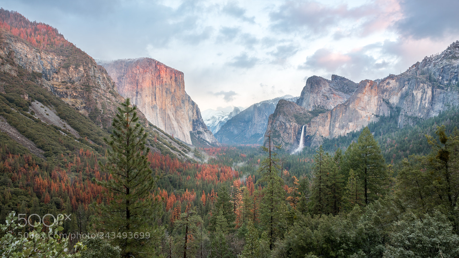 Nikon D810 sample photo. Red yosemite - tunnel photography