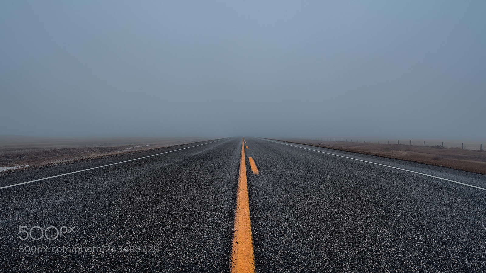 Nikon D850 sample photo. Foggy flight photography