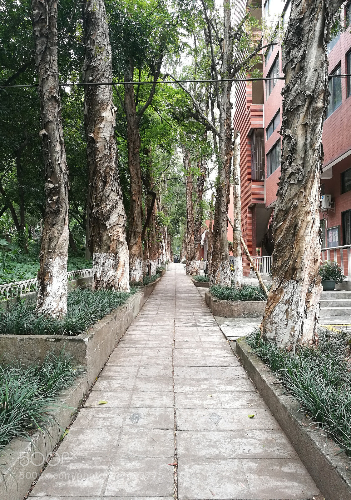 HUAWEI Honor 8 sample photo. Untitled photography