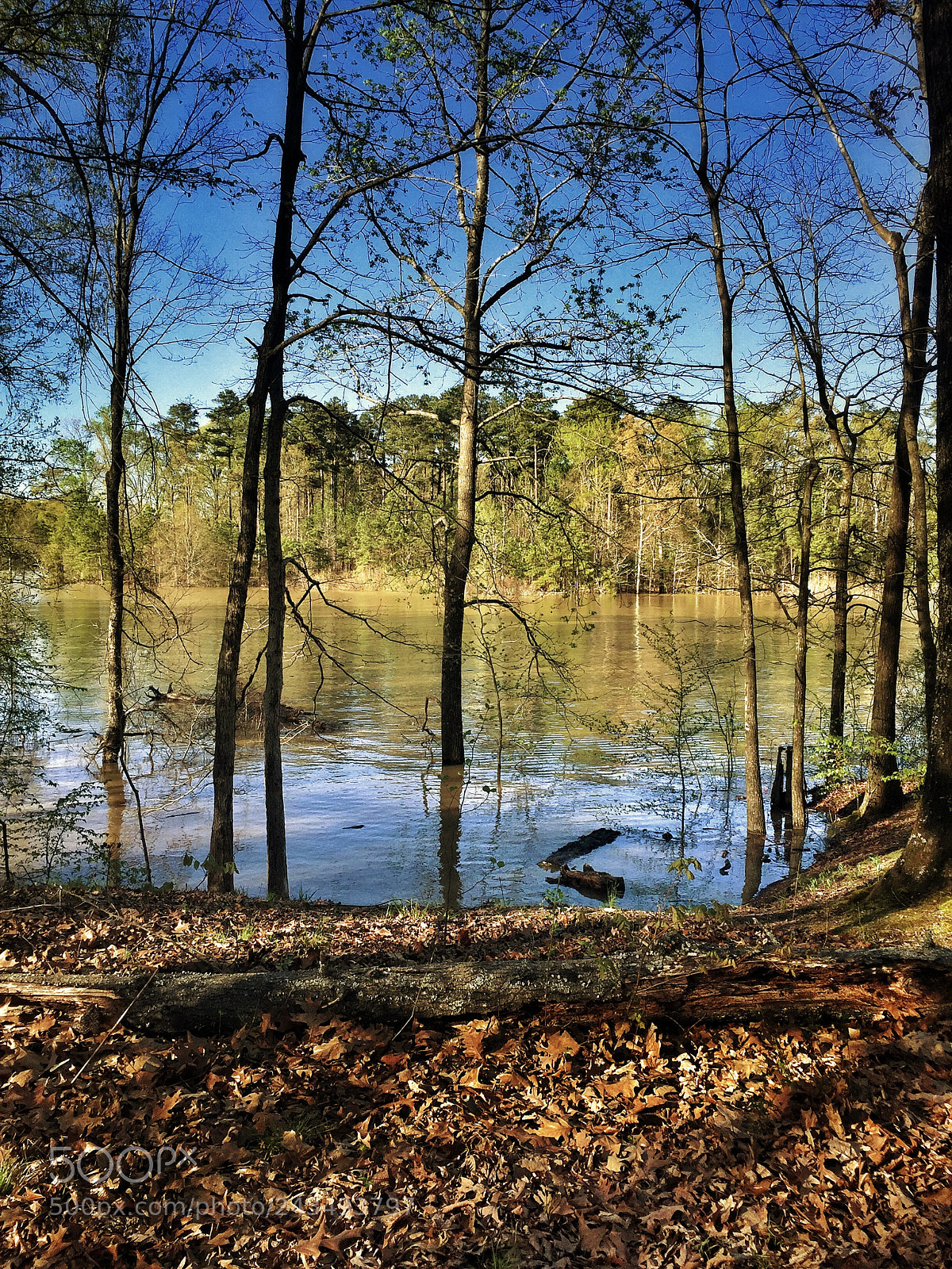 Apple iPhone 6 sample photo. Lakeside photography