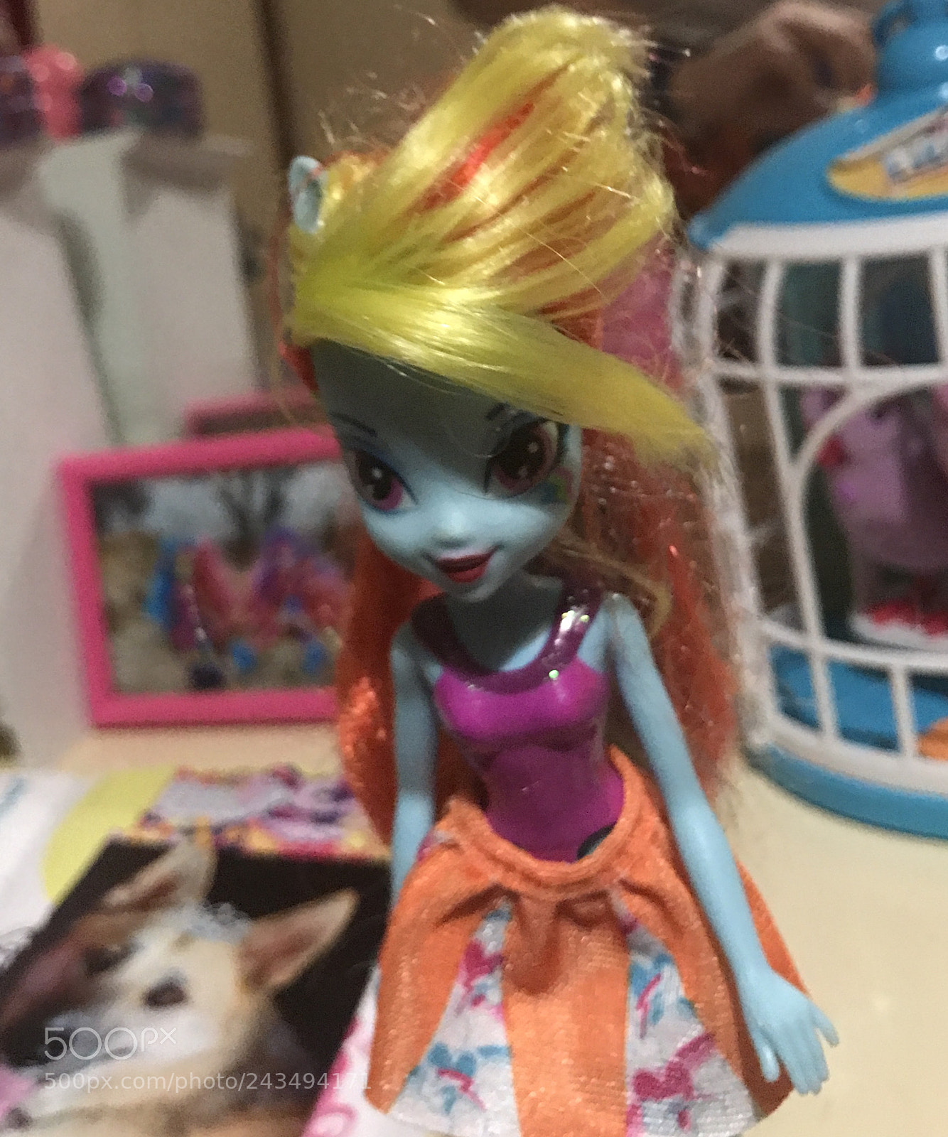 Apple iPhone 7 Plus sample photo. Rainbow dash photography