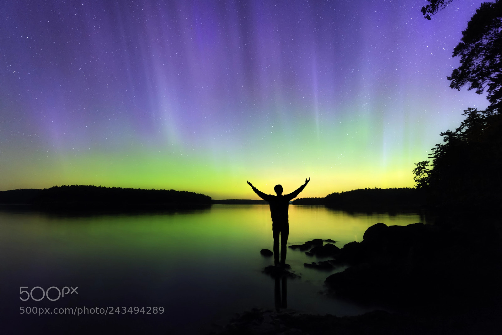 Nikon D800E sample photo. Northern lights photography