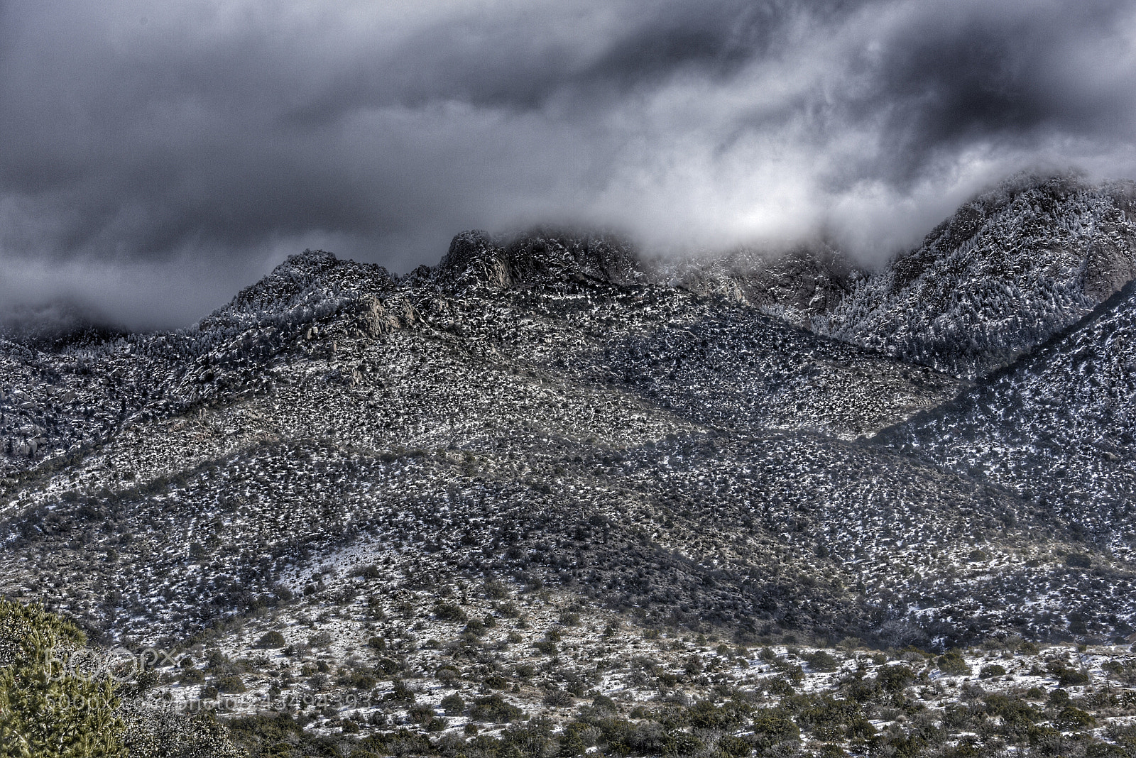Nikon D810 sample photo. Sandia in winter photography