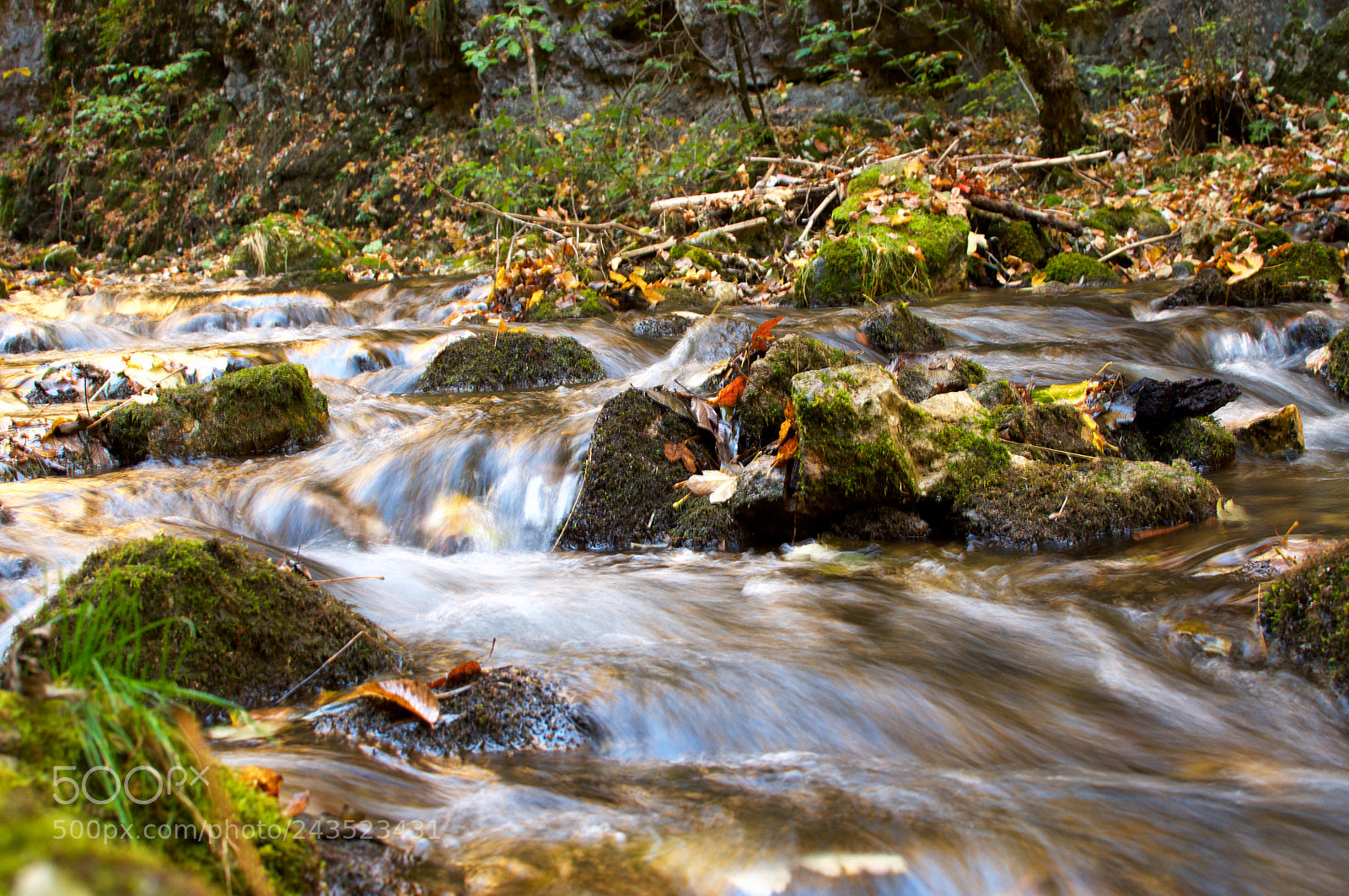 Nikon D5000 sample photo. Slowshot photography