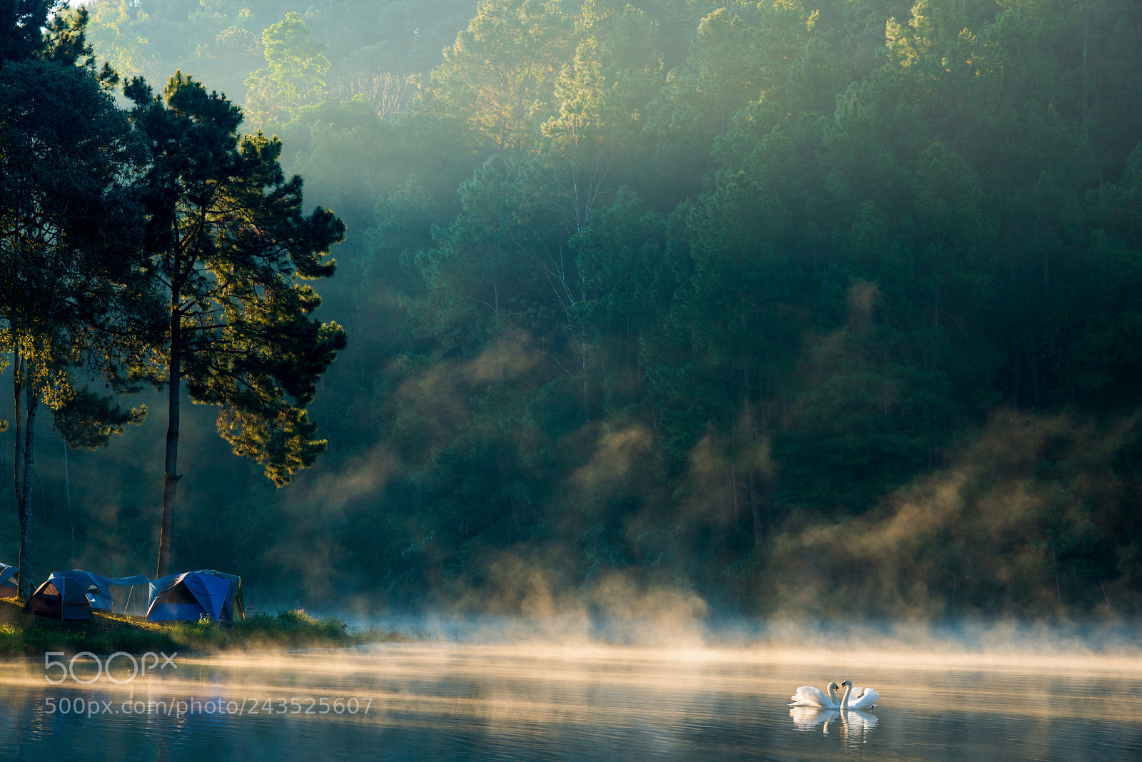 Nikon D800 sample photo. Morning at pang ung photography