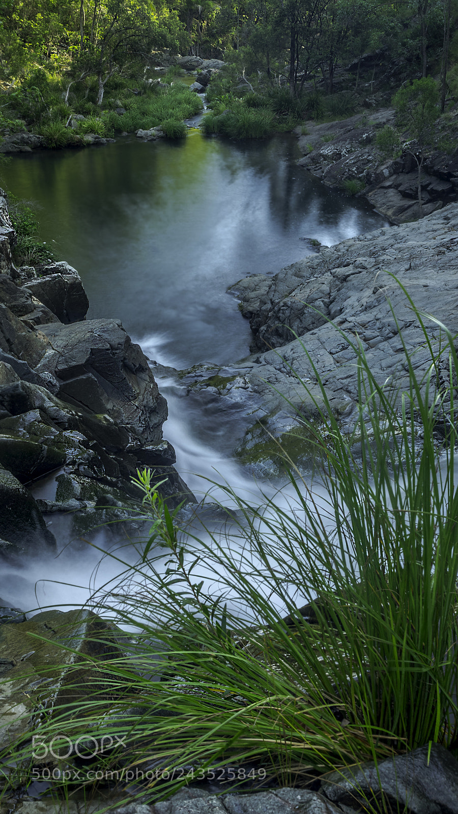 Olympus OM-D E-M1 sample photo. Cedar creek falls photography