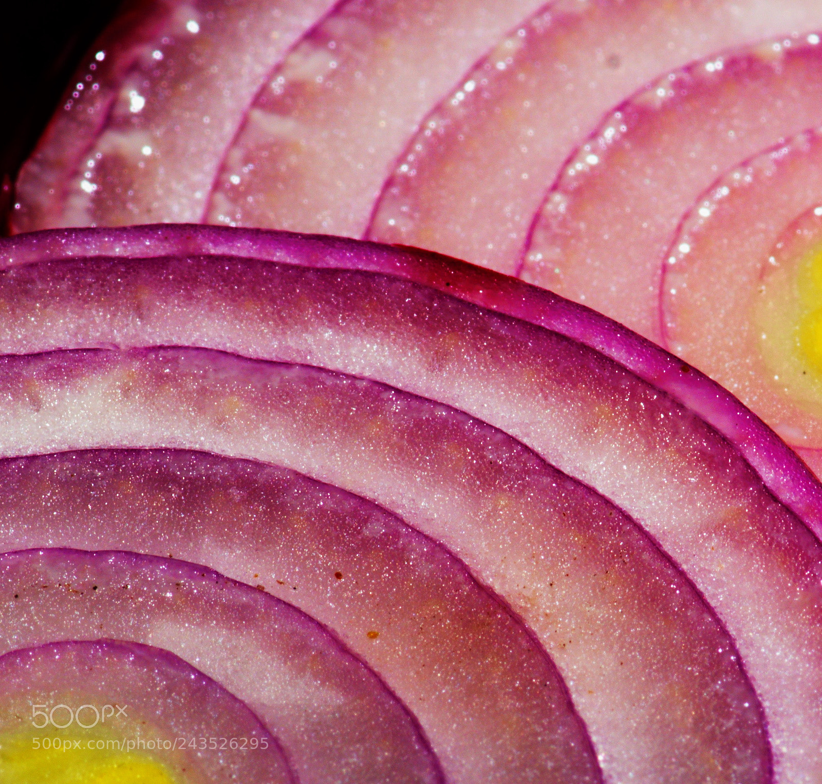 Nikon D7200 sample photo. Red onion photography