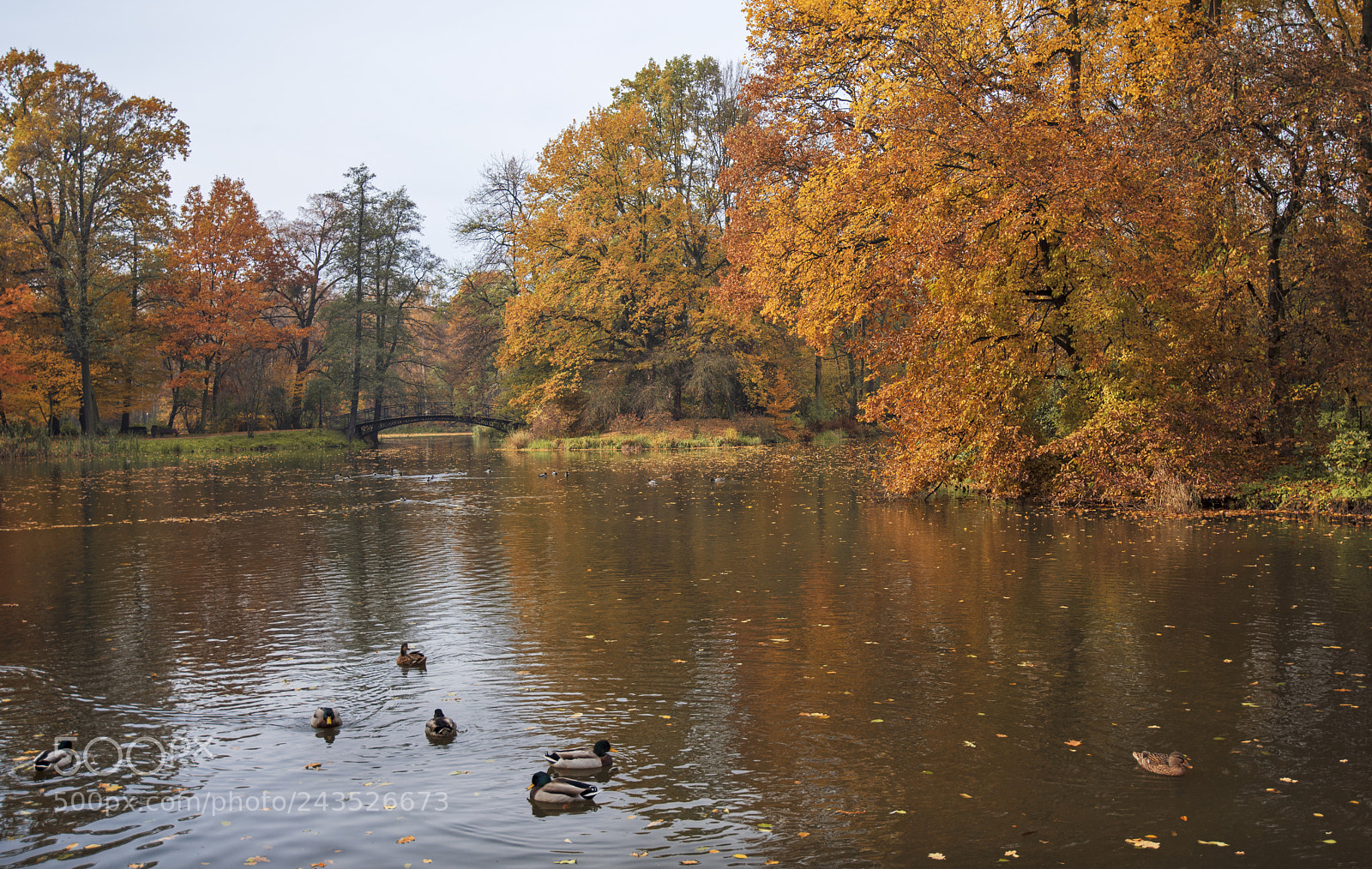 Nikon D810 sample photo. *** photography