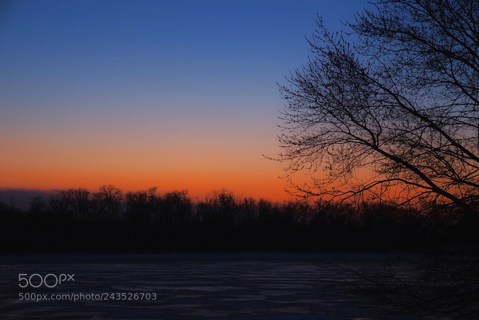 Sony a7 II sample photo. Skokie lagoons photography