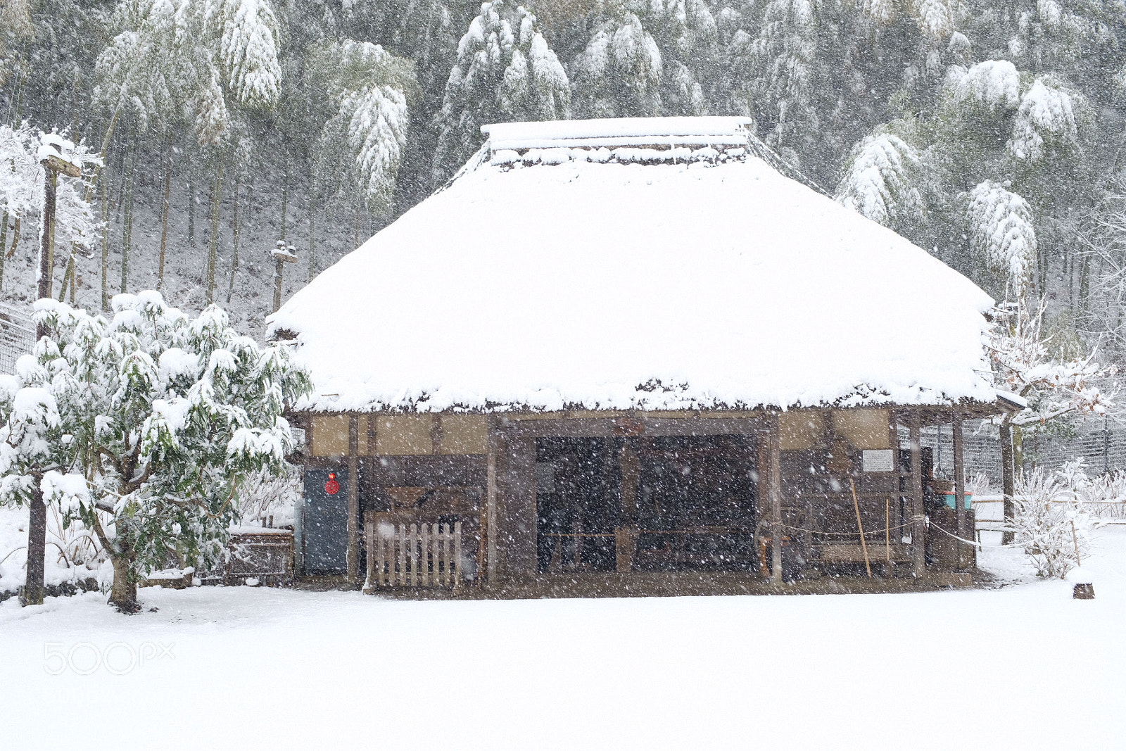 Fujifilm X100F sample photo. Snow photography