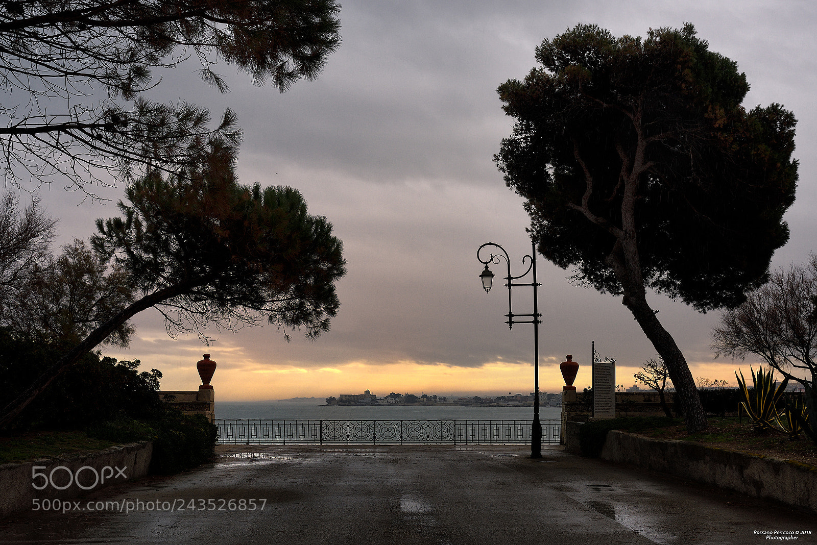 Nikon D810 sample photo. Con lo sguardo rivolto photography