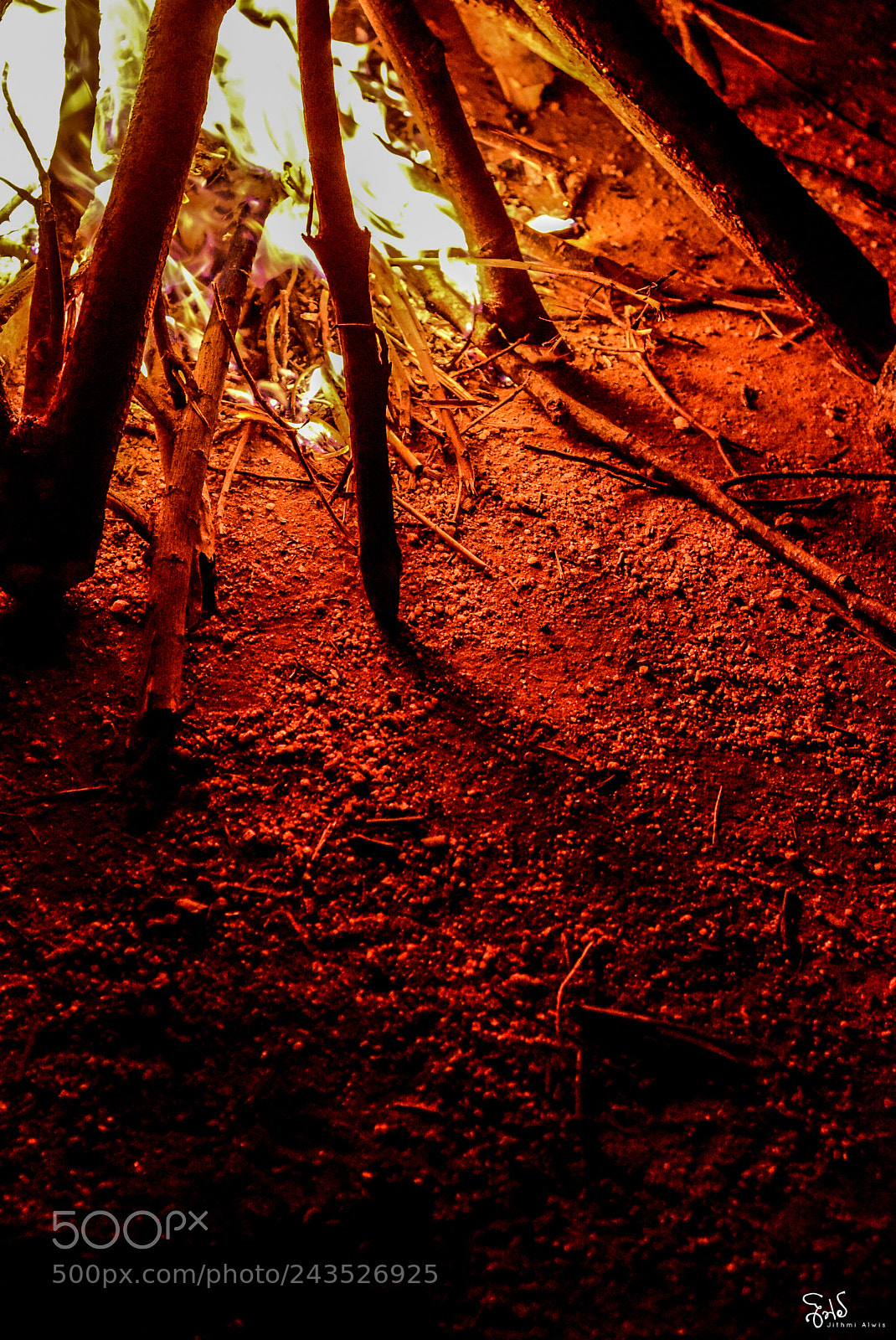 Nikon D7100 sample photo. Untitled photography