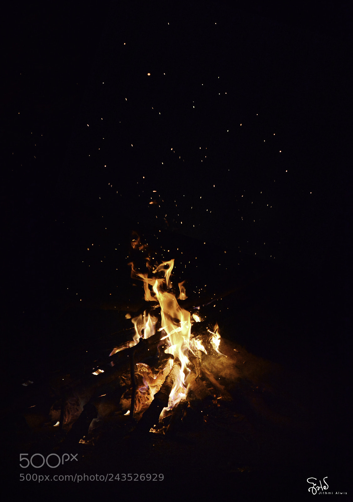 Nikon D7100 sample photo. Untitled photography