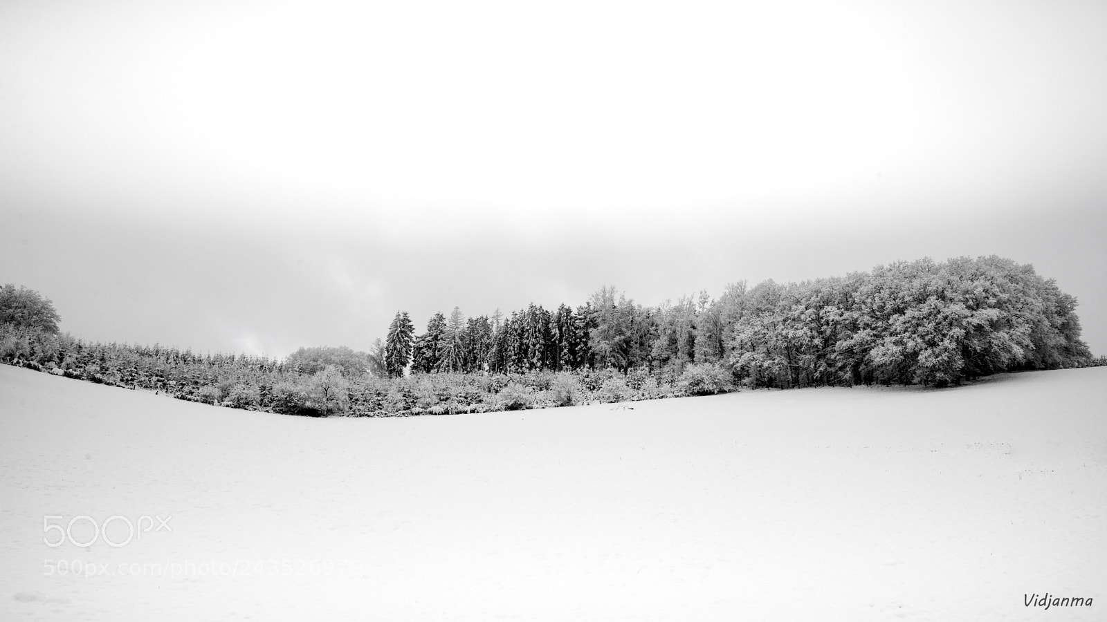 Nikon D610 sample photo. Black wave photography