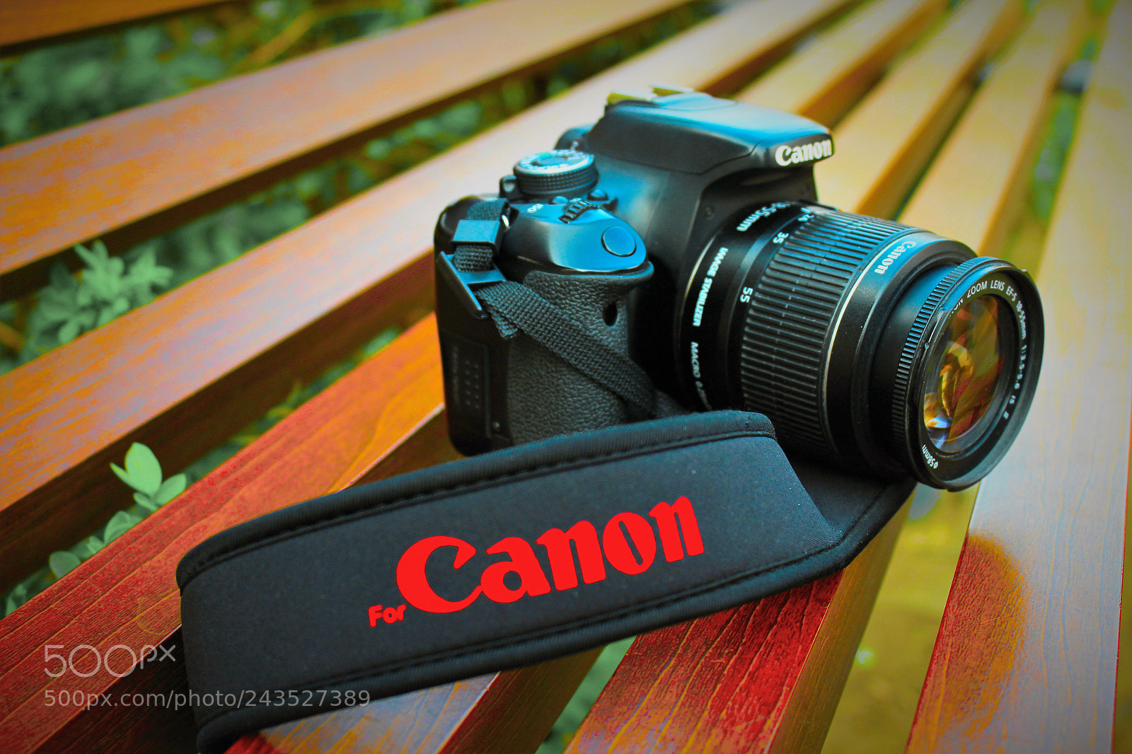 Canon EOS 1200D (EOS Rebel T5 / EOS Kiss X70 / EOS Hi) sample photo. () photography