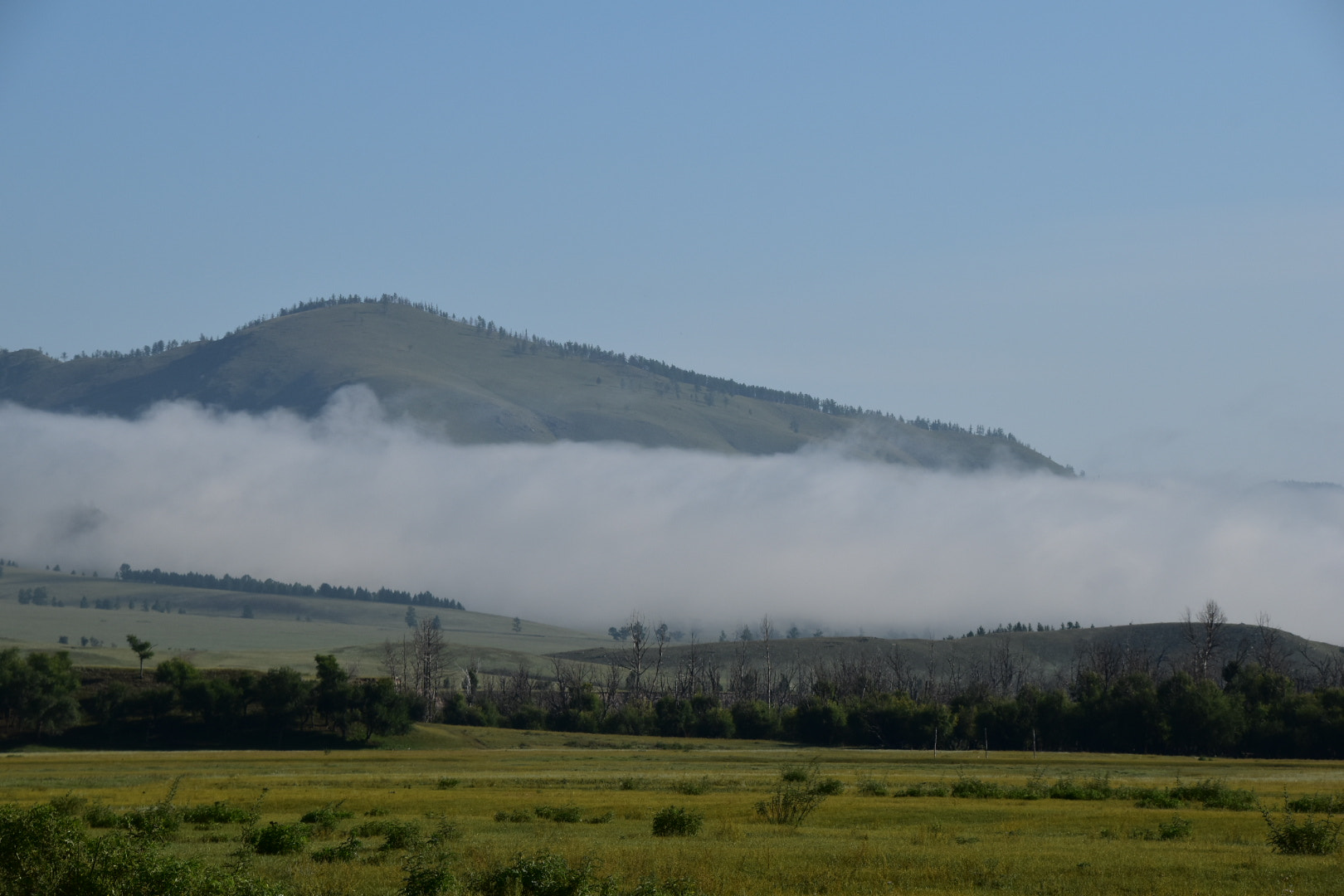 Nikon D5500 sample photo. Fog photography