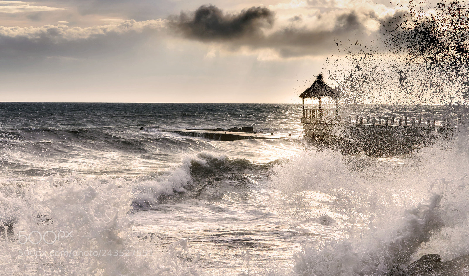 Sony a7R III sample photo. _dsc0822_1.jpg photography