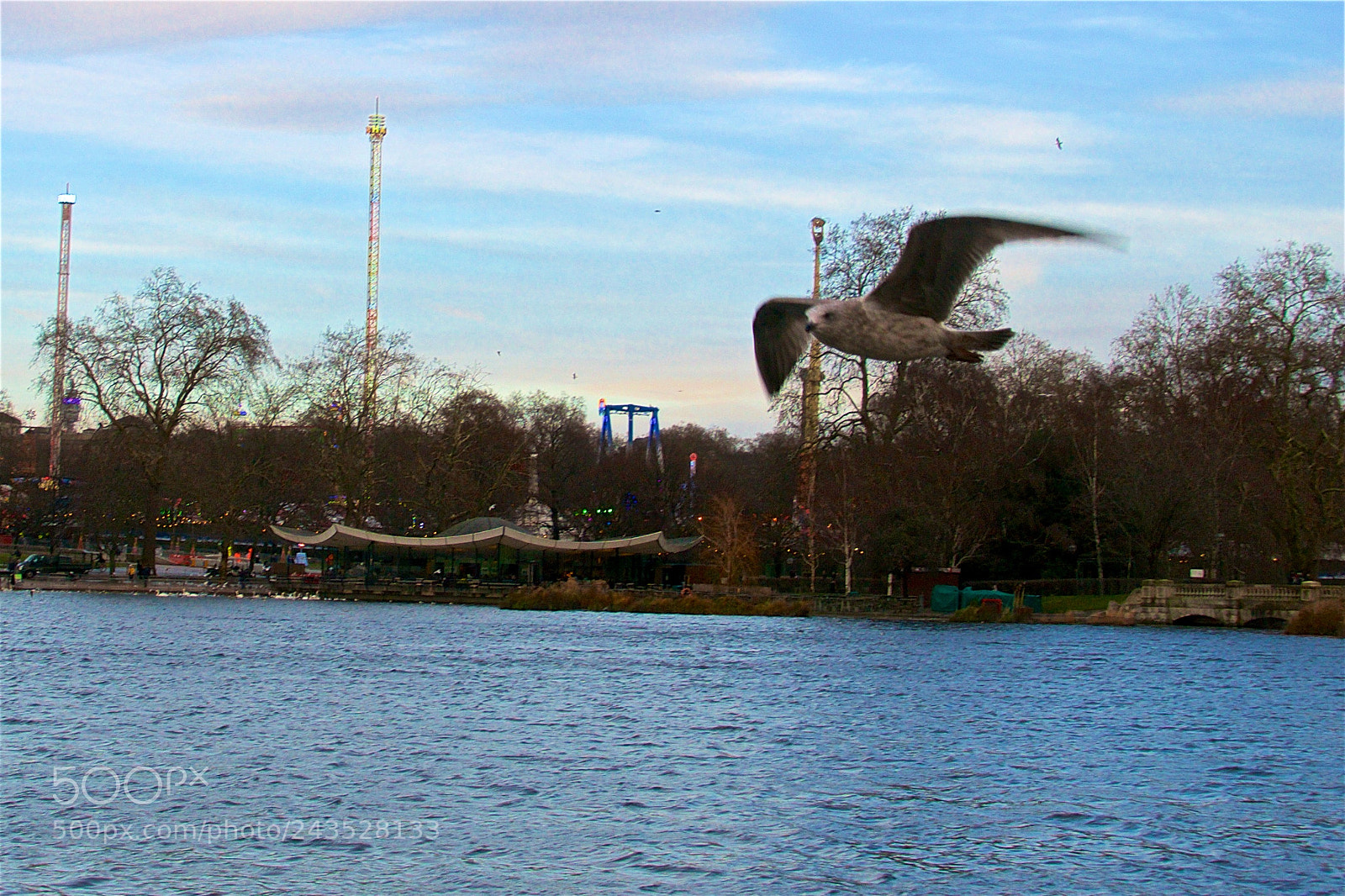 Nikon D5000 sample photo. Fly like an... photography