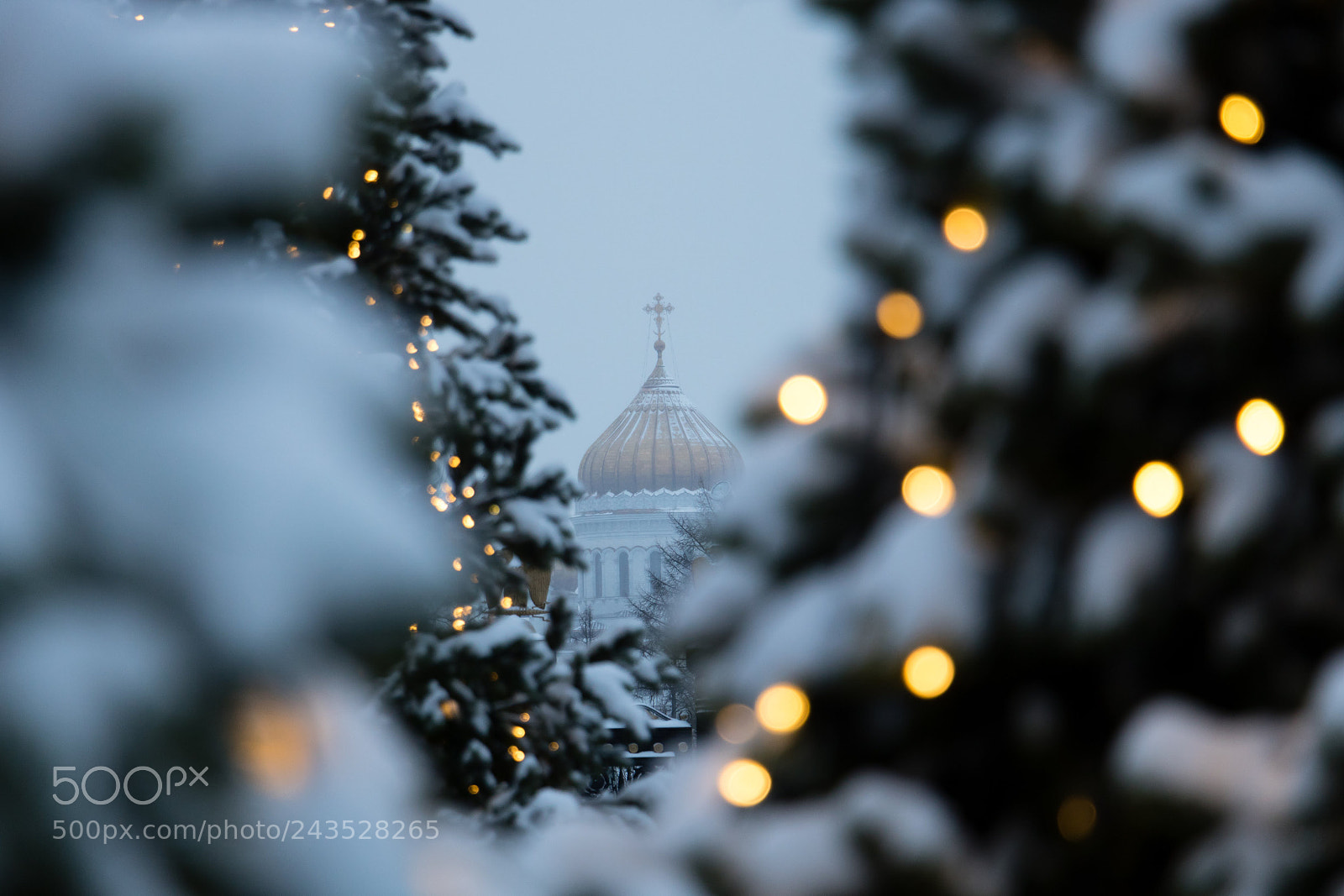 Canon EOS 760D (EOS Rebel T6s / EOS 8000D) sample photo. Christ the saviour cathdral photography