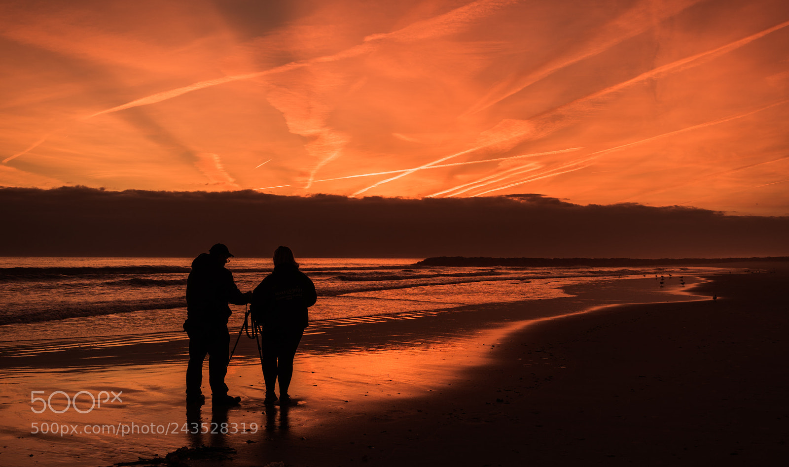 Nikon D810 sample photo. Silence is golden photography