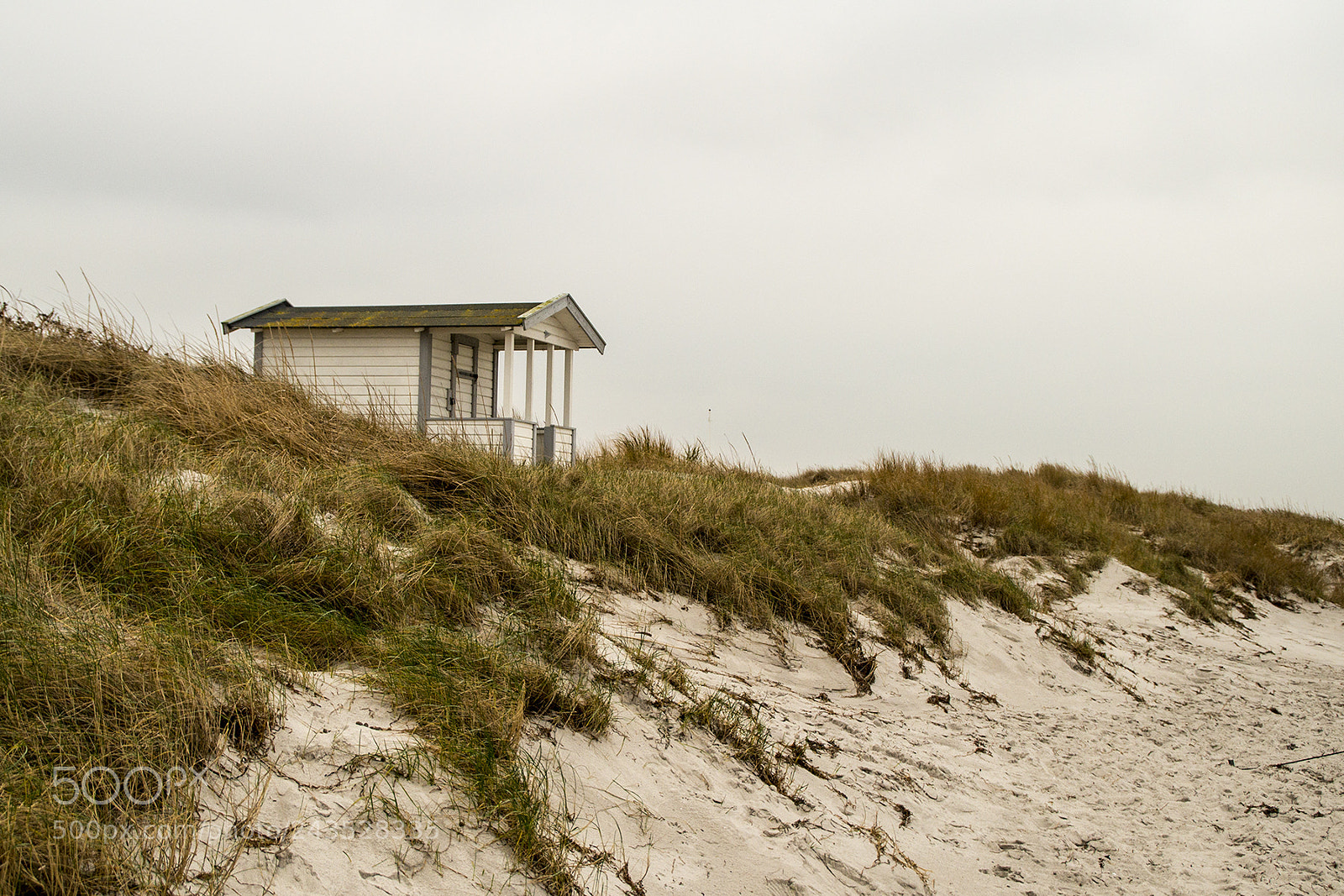 Nikon D800 sample photo. Skanör 28/1-18 photography