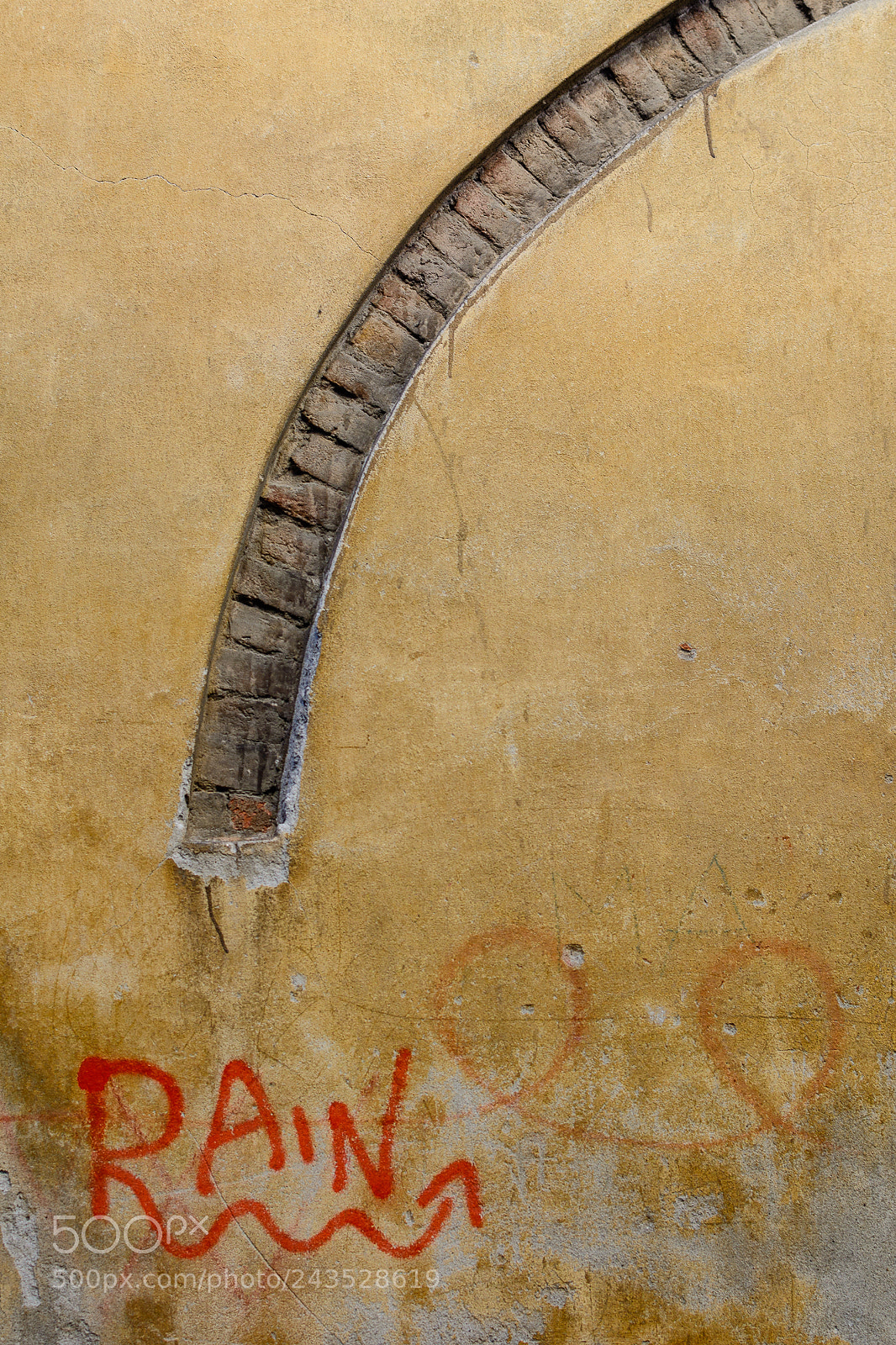 Nikon D7100 sample photo. (bow) photography