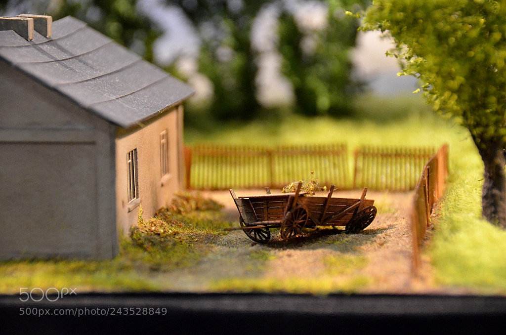 Nikon D5100 sample photo. Woz photography