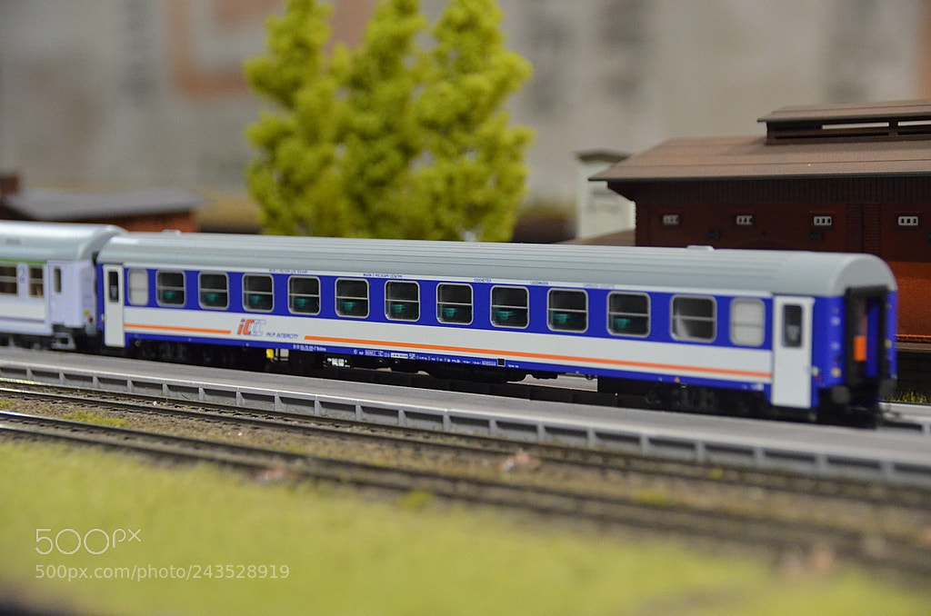 Nikon D5100 sample photo. Iccc photography
