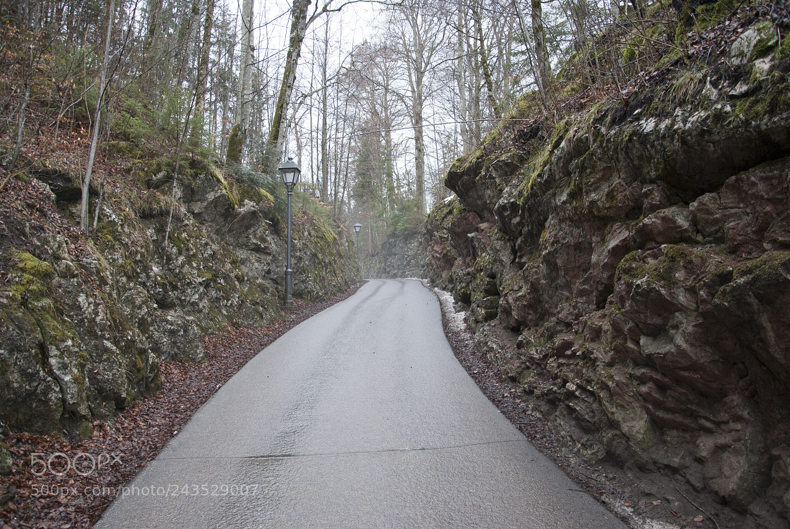 Nikon D3000 sample photo. Path photography
