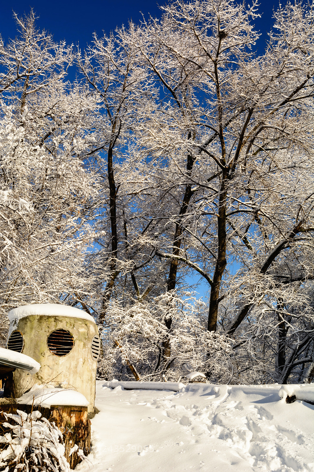Nikon D7100 sample photo. Winter forest or park photography