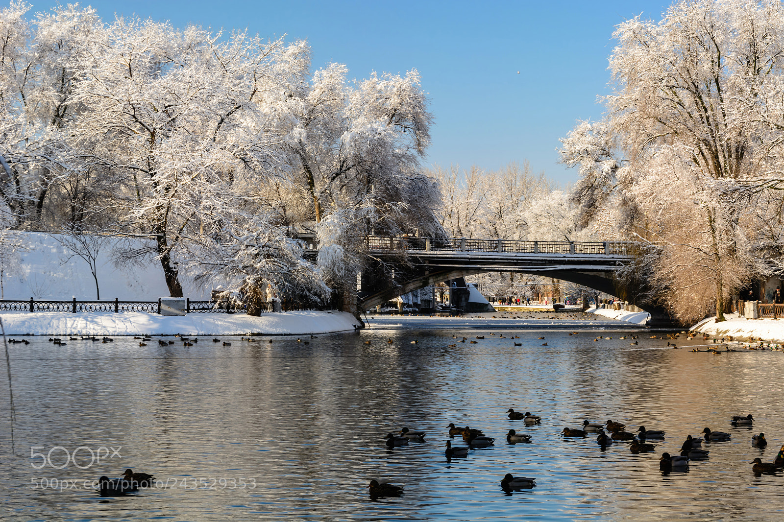 Nikon D7100 sample photo. Snow-covered winter park with photography