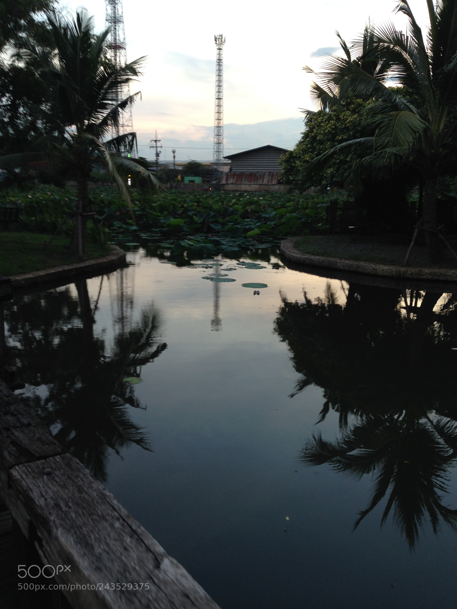 Apple iPhone 5c sample photo. Bfcf febeaeaaaa photography