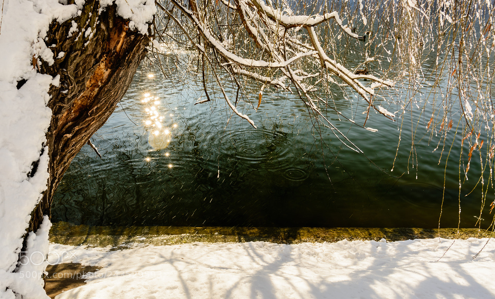 Nikon D7100 sample photo. Snow-covered winter park with photography