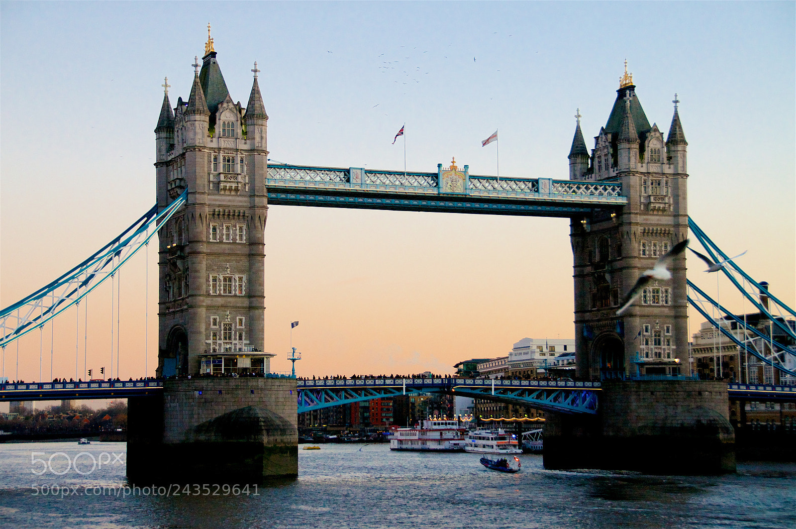 Nikon D5000 sample photo. Tower bridge photography