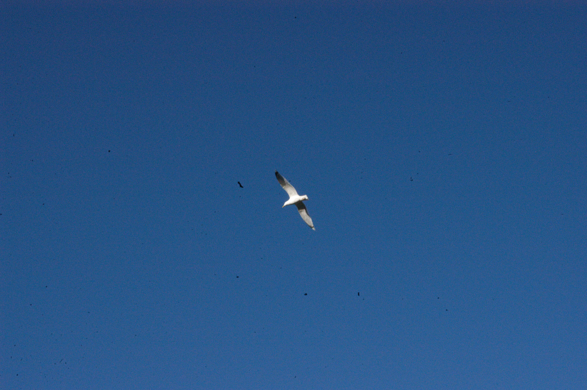 Nikon D100 sample photo. #sc photography