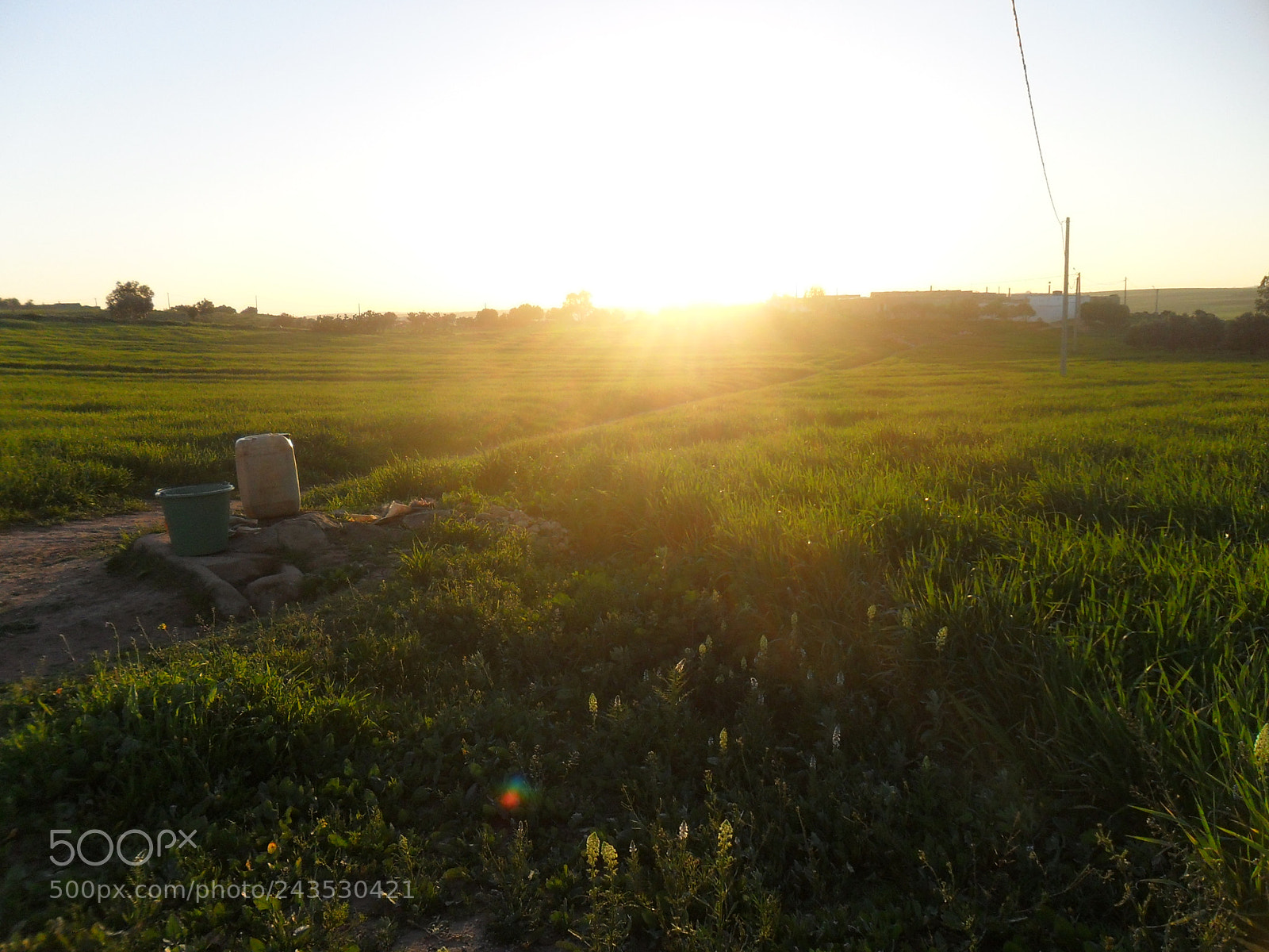 Samsung ES65, ES67 / VLUU ES65, ES67 /  SL50 sample photo. Sun and nature photography