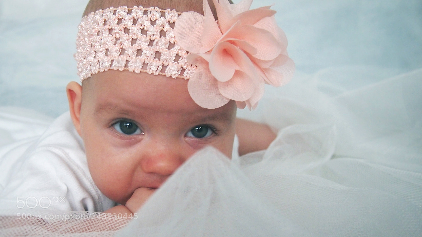 Olympus PEN E-PL3 sample photo. <3 photography