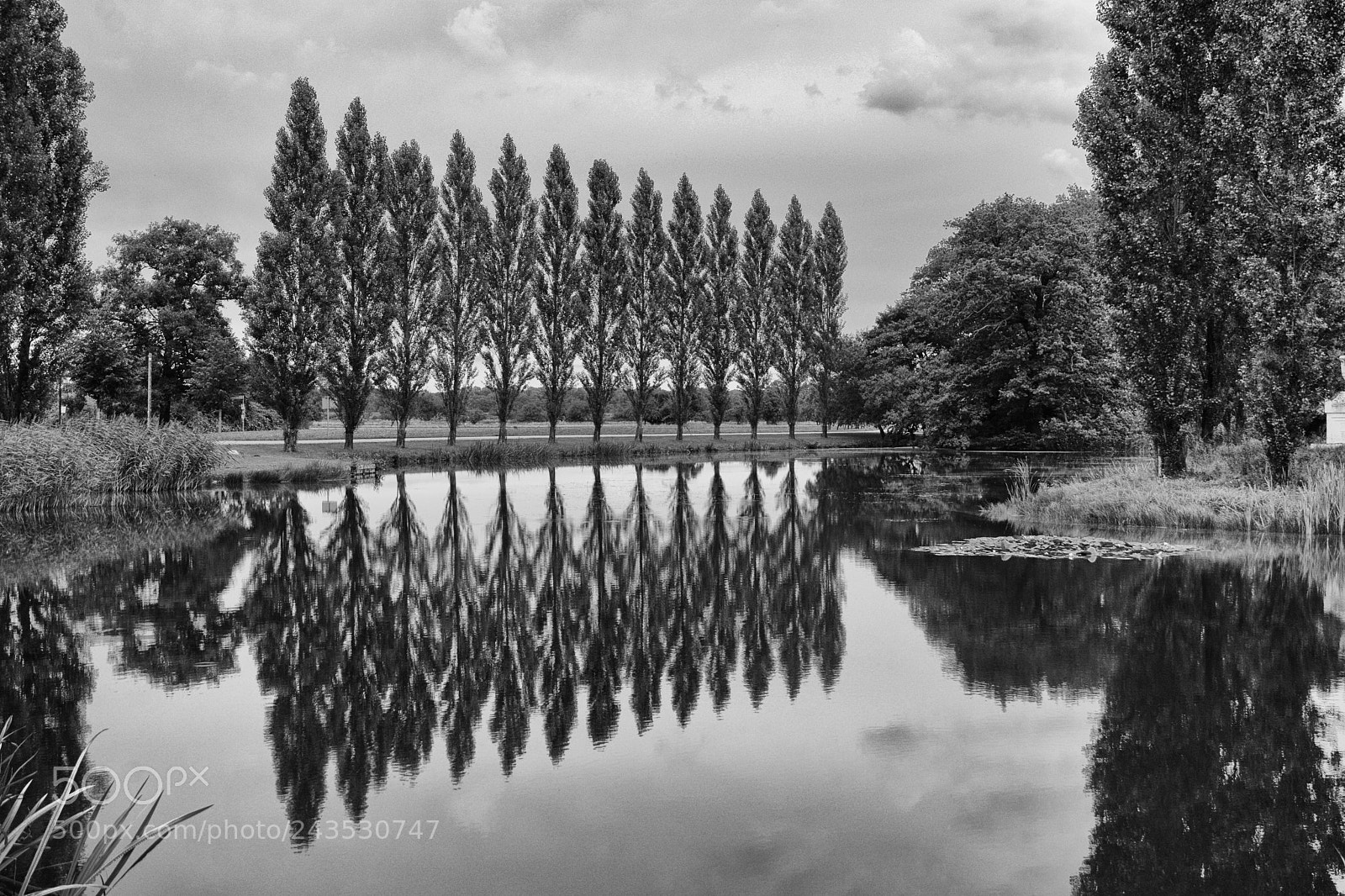 Nikon D7100 sample photo. Reflection photography
